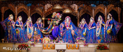 Daily Darshan