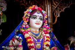 Daily Darshan