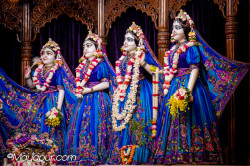 Daily Darshan