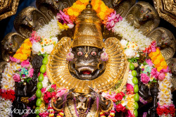 Daily Darshan