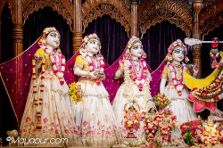 Daily Darshan