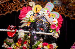 Daily Darshan