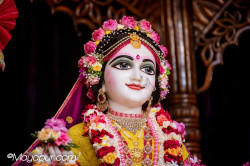 Daily Darshan
