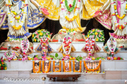 Daily Darshan