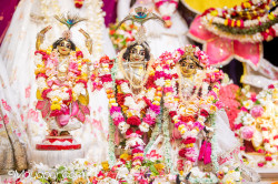 Daily Darshan