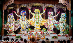 Daily Darshan