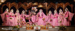 Daily Darshan