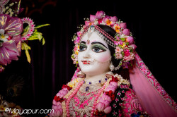 Daily Darshan