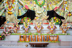 Daily Darshan
