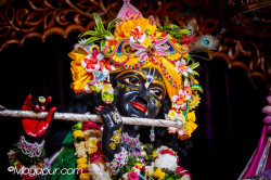 Daily Darshan