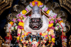 Daily Darshan