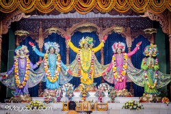 Daily Darshan