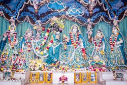Daily Darshan