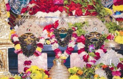 Daily Darshan