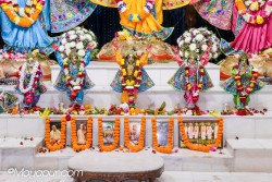 Daily Darshan