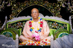Daily Darshan