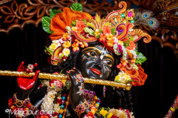 Daily Darshan