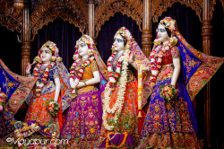 Daily Darshan