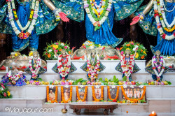 Daily Darshan