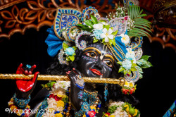 Daily Darshan