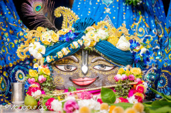 Daily Darshan