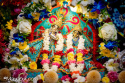 Daily Darshan