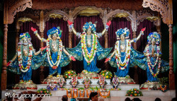 Daily Darshan