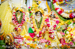 Daily Darshan