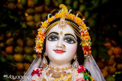 Daily Darshan