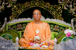 Daily Darshan
