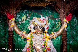 Daily Darshan