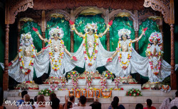 Daily Darshan
