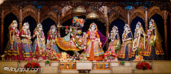 Daily Darshan