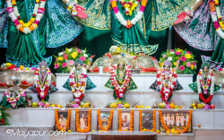 Daily Darshan