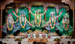 Daily Darshan