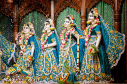 Daily Darshan