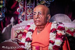 Daily Darshan