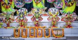 Daily Darshan