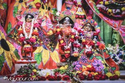 Daily Darshan