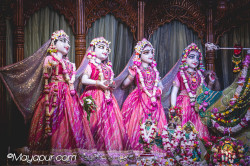 Daily Darshan