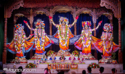 Daily Darshan