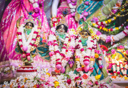 Daily Darshan