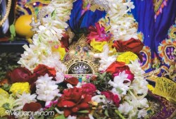 Daily Darshan