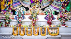 Daily Darshan