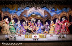 Daily Darshan