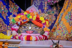 Daily Darshan