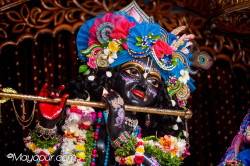 Daily Darshan