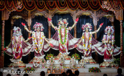 Daily Darshan