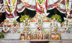 Daily Darshan