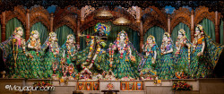Daily Darshan